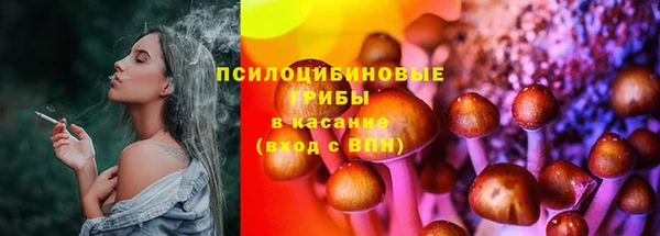 дмт Медвежьегорск