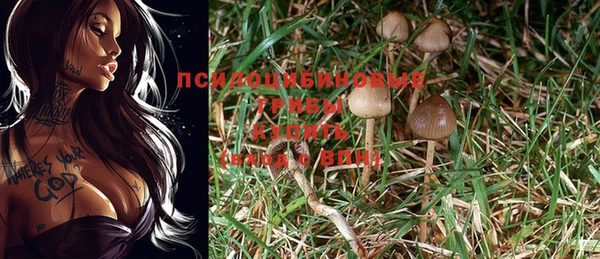 MDMA Premium VHQ Майский