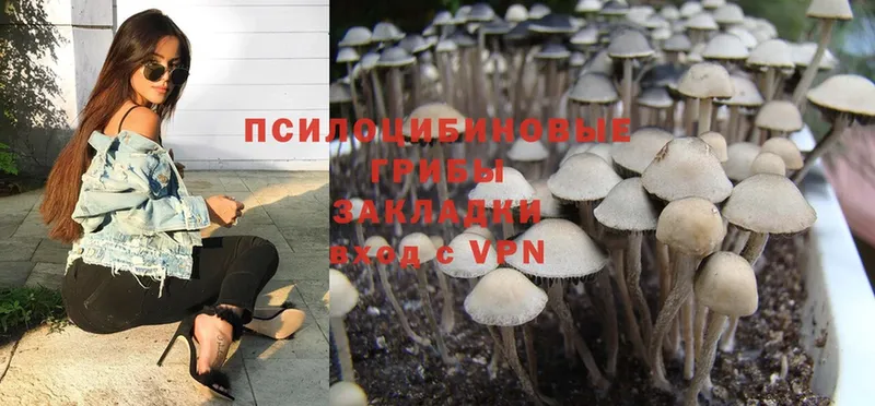 Псилоцибиновые грибы MAGIC MUSHROOMS Иркутск